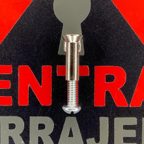 TAPON  Y TORNILLO PARA CANDADO   (INSERTO 498)