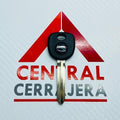 C13