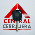 C31