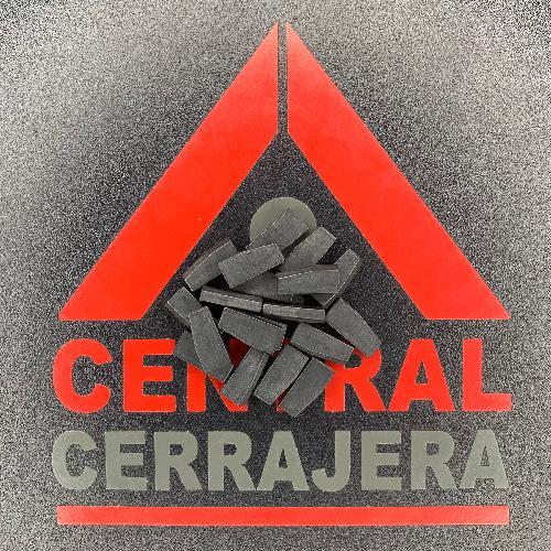 INSERTO 244
