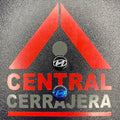 INSERTO 266