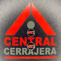 INSERTO 275
