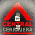 INSERTO 291